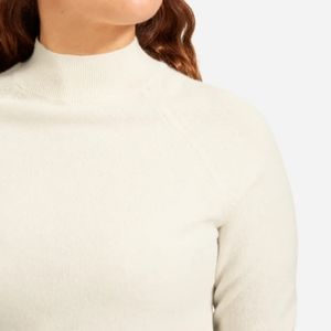 Everlane cashmere mock neck sweater